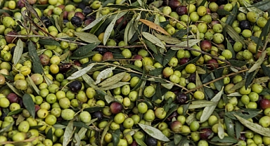 İklim kriziyle düşen üretim ve artan gıda fiyatları Akdeniz diyetinin tadını kaçırıyor