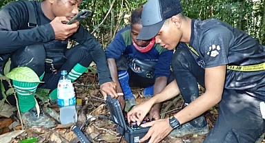 Şirketlerin ormansızlaşmayı şimdi sınırlamasının 4 yolu