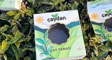 Atık çay lifleri plastiğe alternatif malzemeye dönüşüyor