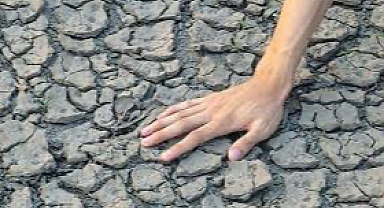 Çölleşmeyle Mücadelede Ortak Sorumluluk: Tohumdan Belediyeciliğe Kapsayıcı Adımlar