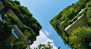 Dünya Şehirleri Temiz Hava ve Yeşil İstihdam İçin Harekete Geçti