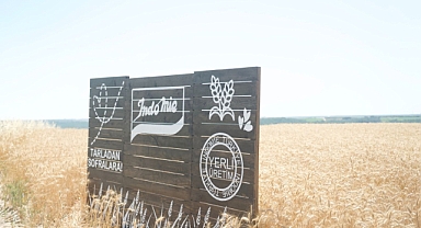 Indomie, Trakya Buğdayıyla 1.2 Milyar Noodle Üretiyor