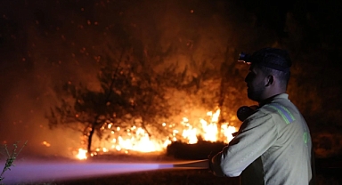6 İlde Orman Yangını: Karabük, Bursa, Kahramanmaraş ve Diğer Bölgelerde Mücadele Sürüyor
