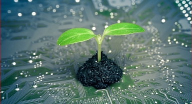 Aksigorta, Yeşil Dijital Dönüşümle Sürdürülebilir Geleceği İnşa Ediyor