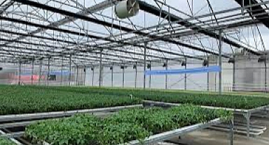 Çöp Gazı Elektriğe, Isı Fidelerle Tarıma Dönüştü