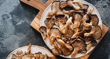 İstiridye Mantarı: Doğadan Gelen Sağlık Deposu