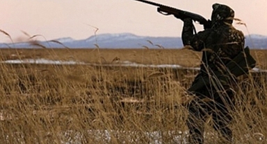 Kenelerle Mücadelede Yeni Öneri: Kuş Avcılığına Geçici Yasak Gelsin