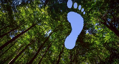 Microsoft’tan Sıra Dışı Karbon Giderme Hamlesi