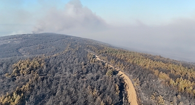 Tekirdağ’da Orman Yangını Havadan Görüntülendi