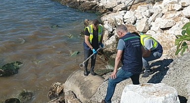 Yalova Belediyesi’ne 1,3 Milyon TL’lik Çevre Cezası