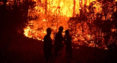 Yangınlar: İklim Krizinin Hem Sonucu Hem Tetikleyicisi