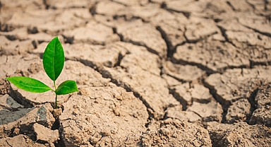  İklim Krizi Evimize Girdi: Gıda ve Su Güvenliği Alarm Veriyor