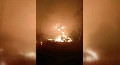  Muğla'da çıkan orman yangınına müdahale ediliyor