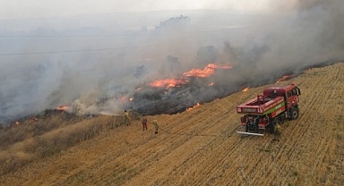 OGM: Yangınların yüzde 57’si orman dışı alanlarda başladı