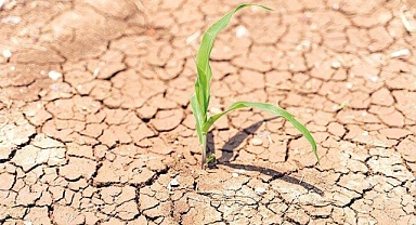 Su Krizi Kapıda: Dünya Su Haftası 2025’in Mesajı ‘Suya Dayanıklı Gelecek’