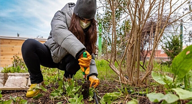 Sürdürülebilir Yeni Lüks: Hayatı Sakince Yaşamak