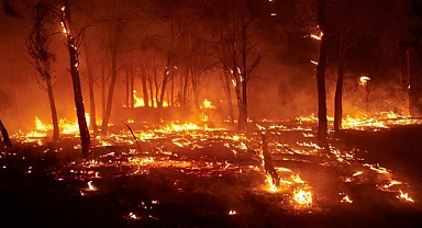 Araştırma: En yıkıcı yangınların yarısı son 10 yılda yaşandı