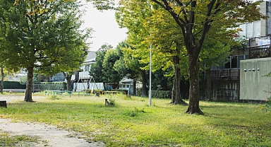 Araştırma: Şehirlere daha fazla ağaç dikilmesi, Avrupa'da son 20 yılda 1,1 milyon hayat kurtarabilirdi