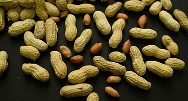 Araştırma: Yer fıstığı erken yaşta yenirse alerji gelişimi önlenebilir