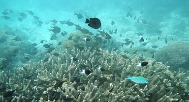 Bilim insanlarından uyarı: İklim eşiği aşılıyor, 'tehlike bölgesi'ne giriyoruz