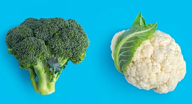 Brokoli mi Karnabahar mı: Hangisi Daha Fazla Protein, Lif ve Diğer Besinleri İçerir?