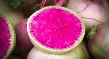 Ekim ayında ne tüketmeli? Mevsimsel beslenmenin 7 faydası! Ekim ayı sebze ve meyveleri neler?