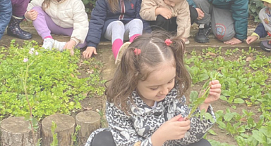 FEE Eğitim Ödülleri 2025 Başvuruları Başladı!