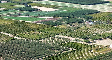 Kuraklığın etkili olduğu Ege'de çiftçiler ekim yağmurlarıyla nefes aldı