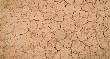 Kuraklık küresel bir tehdide dönüştü