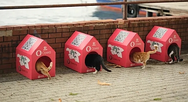 Opera “Kedi Mahallesi” Oluşturmak için HAÇİKO ile Güçlerini Birleştirdi