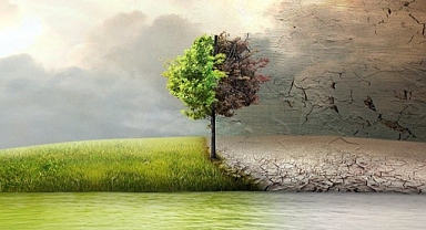 Sürdürülebilirlik Temalı Filmler