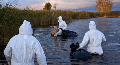 Virolog: 'Kuş gribi virüsü bir pandemiyi tetikleyebilecek güce sahip'