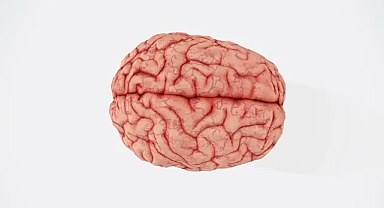 Beyin sağlığına en çok zarar veren gıdalar belirlendi