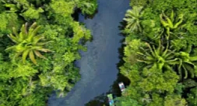 Brezilya’da İklim Değişikliğini Bu Yıl da Konuşma Zamanı: COP30