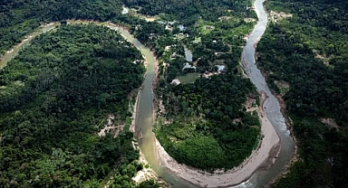 COP30: Brezilya’nın iddialı yeni ‘Tropical Forests Forever’ fonu ormansızlaşmayı azaltır mı?