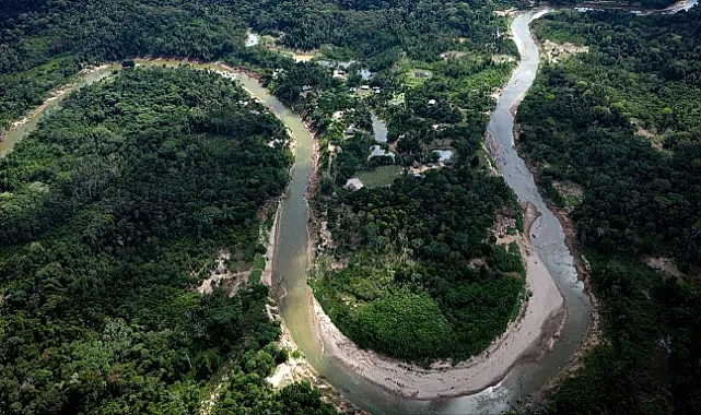 COP30: Brezilya’nın iddialı yeni ‘Tropical Forests Forever’ fonu ormansızlaşmayı azaltır mı?