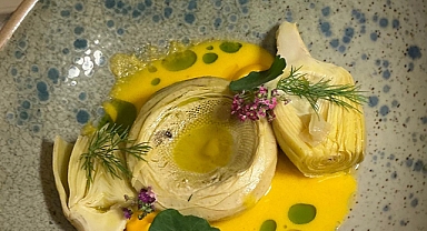 DOĞAYA SAYGI DURUŞU: RIZA SÖNMEZ’İN ON İKİ YILLIK EMEĞİ “ANADOLU VEGAN”, 444 TARİFLE ANADOLU’NUN BİTKİSEL HAFIZASINI BUGÜNE TAŞIYOR!