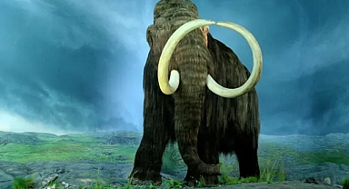 Dünyanın en eski RNA'sı 40 bin yaşında bir mamuttan çıkarıldı