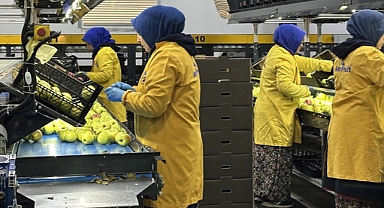 Kuraklığın etkileri tarladan fabrikaya, fabrikadan sofraya uzanıyor