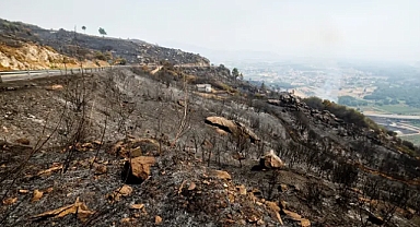 Rapor: İklim değişikliği İspanya'nın 'dayanıklı' ekonomisi için tehdit