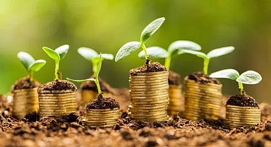 Türkiye, yeşil ekonominin yeni merkezi olmaya hazırlanıyor