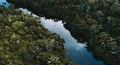 Amazon, milyonlarca yıldır görülmeyen ‘hipertropikal’ bir iklime sürükleniyor