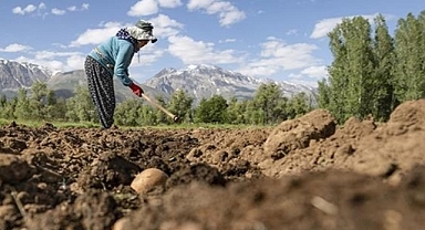 Kasımda yağışlar azaldı, bitki gelişimi için gözler gelecek döneme odaklandı