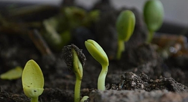 Kuraklıkla mücadelede çiftçilere organik gübre kullanmaları tavsiyesi