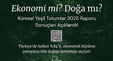 Küresel Yeşil Tutumlar Anketi 2025