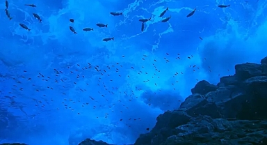 Okyanuslar için kritik eşik: 2026’da neler değişecek?