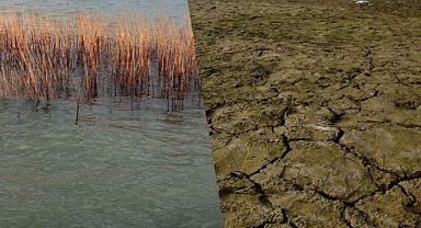Sapanca'dan Kocaeli'ye bir yılda sağlanan su miktarı kadar kaynak yok oldu