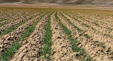 Toprak sağlığının iyileştirilmesi iklim hedeflerine ulaşmayı hızlandırabilir