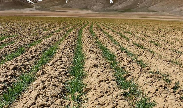 Toprak sağlığının iyileştirilmesi iklim hedeflerine ulaşmayı hızlandırabilir