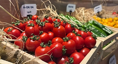 Türkiye'den yurt dışına sebzede en çok domates, salatalık ve biber tohumu gönderiliyor